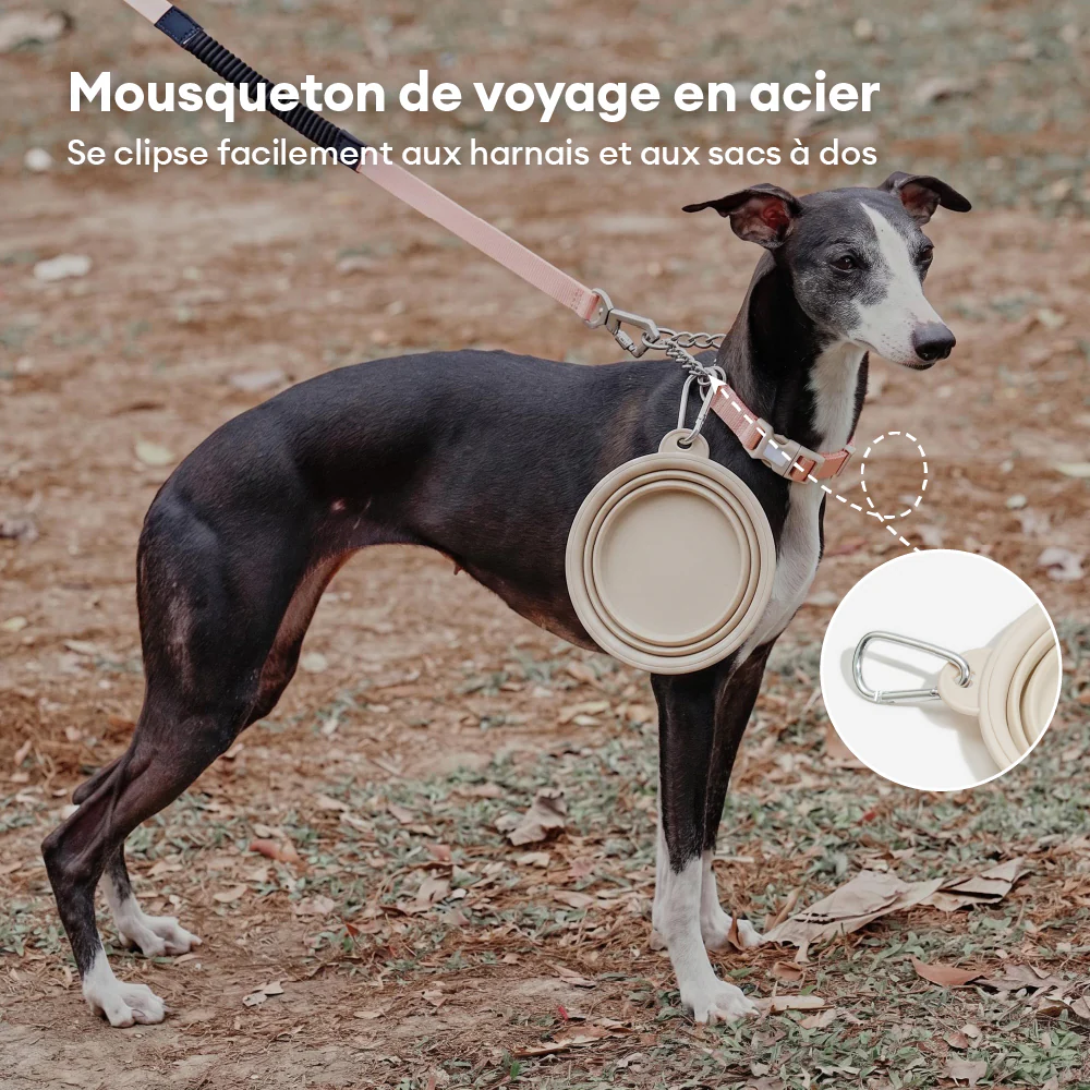 Bol en silicone pliable pour chien - Urban Roaming - Image 3