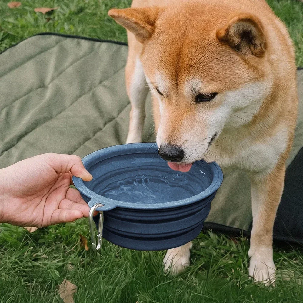 Bol en silicone pliable pour chien - Urban Roaming - Image 9