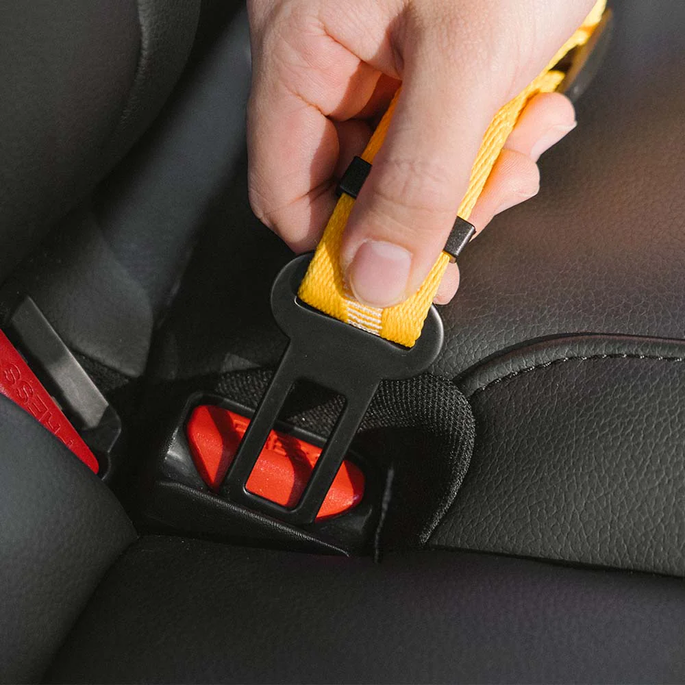 Ceinture de sécurité ajustable pour chien - Image 5