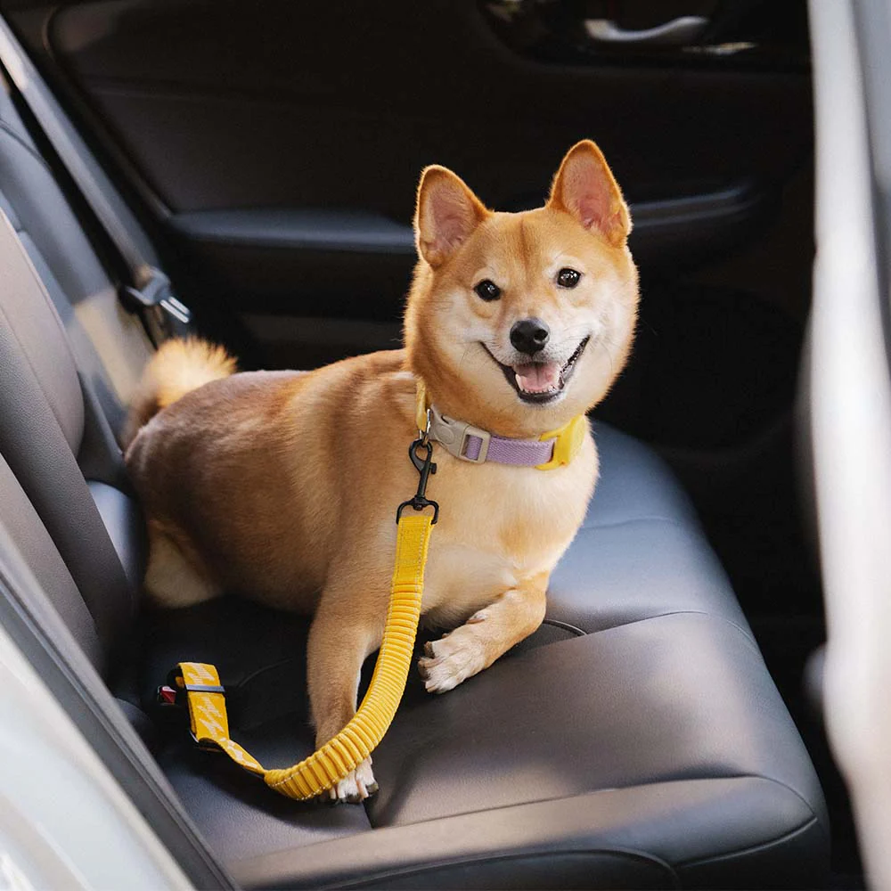 Ceinture de sécurité ajustable pour chien - Image 7