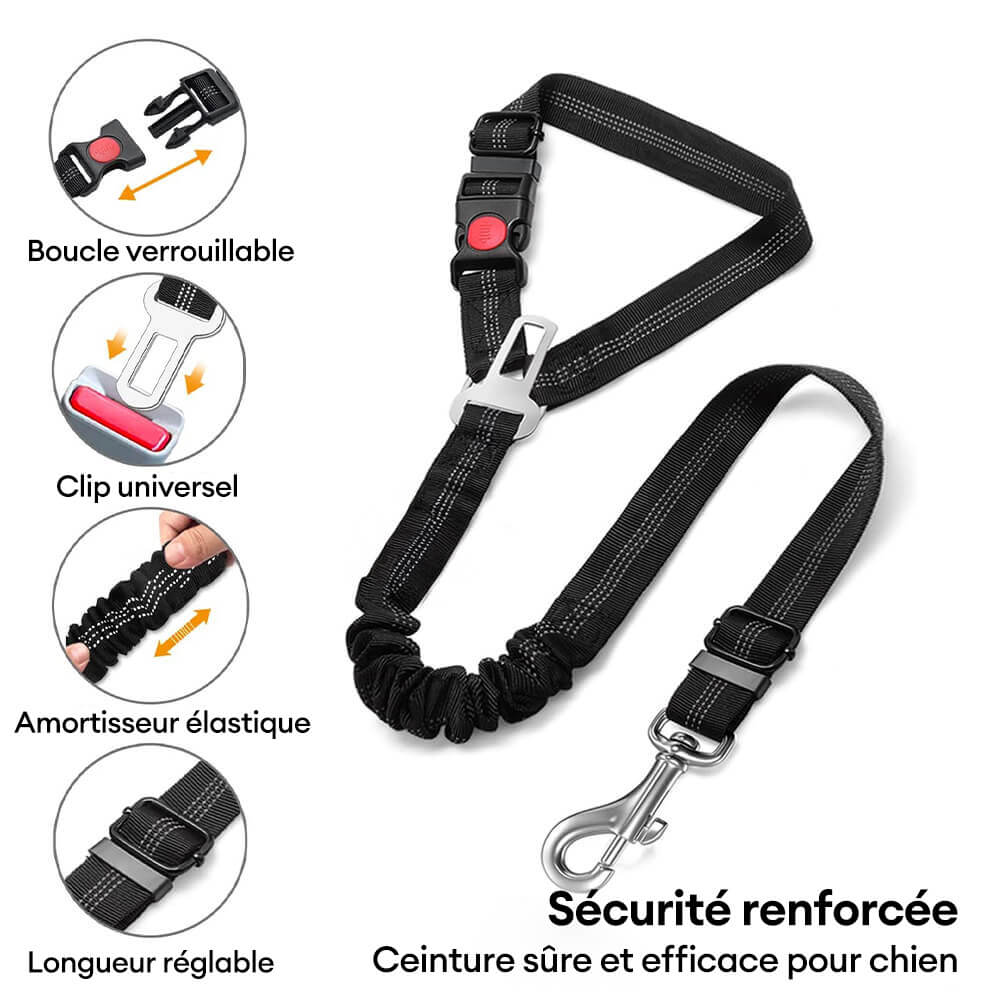Ceinture de sécurité pour chien avec attache pour appui-tête de voiture - Image 5