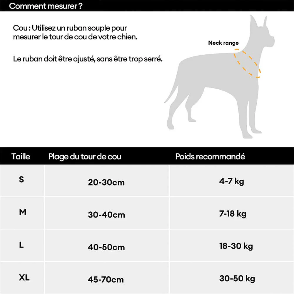 Collier pour chien réglable en nylon durable FUNNYFUZZY - Flexi Walker - Image 14