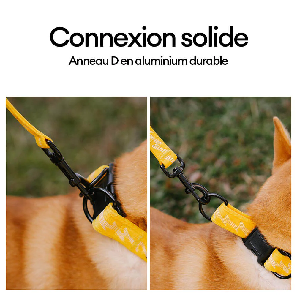 Collier pour chien réglable en nylon durable FUNNYFUZZY - Flexi Walker - Image 7