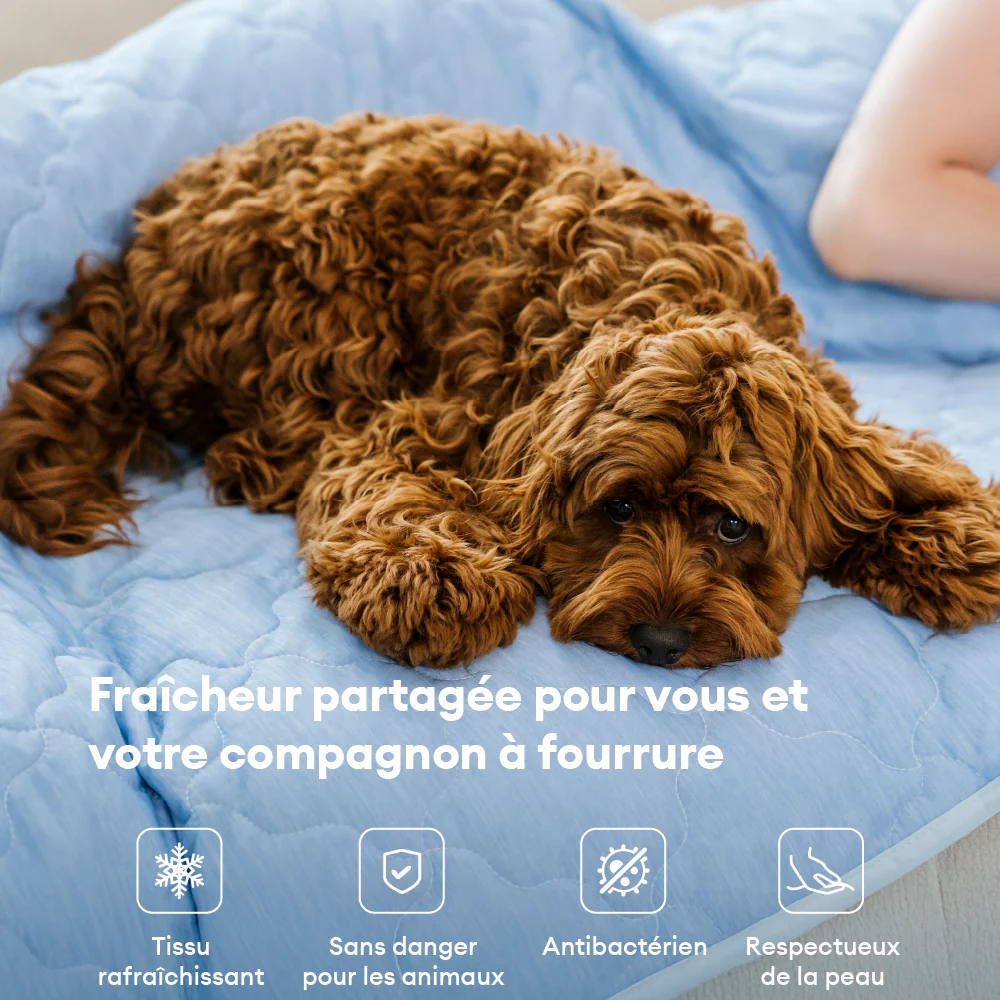 Couverture et Tapis rafraîchissant pour chien double face - Chill Nest - Image 2