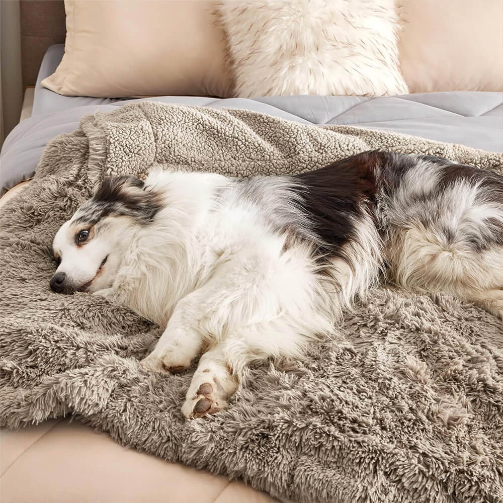 Couverture luxueuse en peluche imperméable et chaude pour chien - Image 7