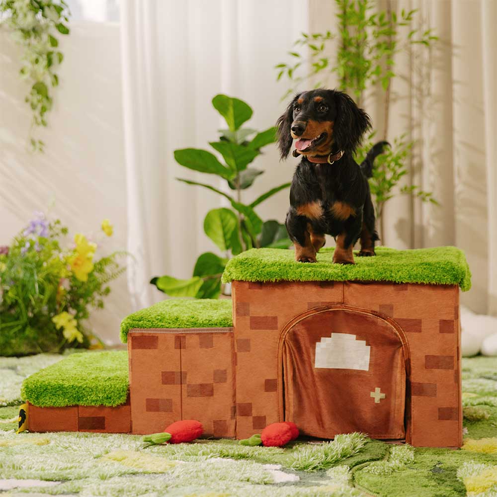 Miniature 1