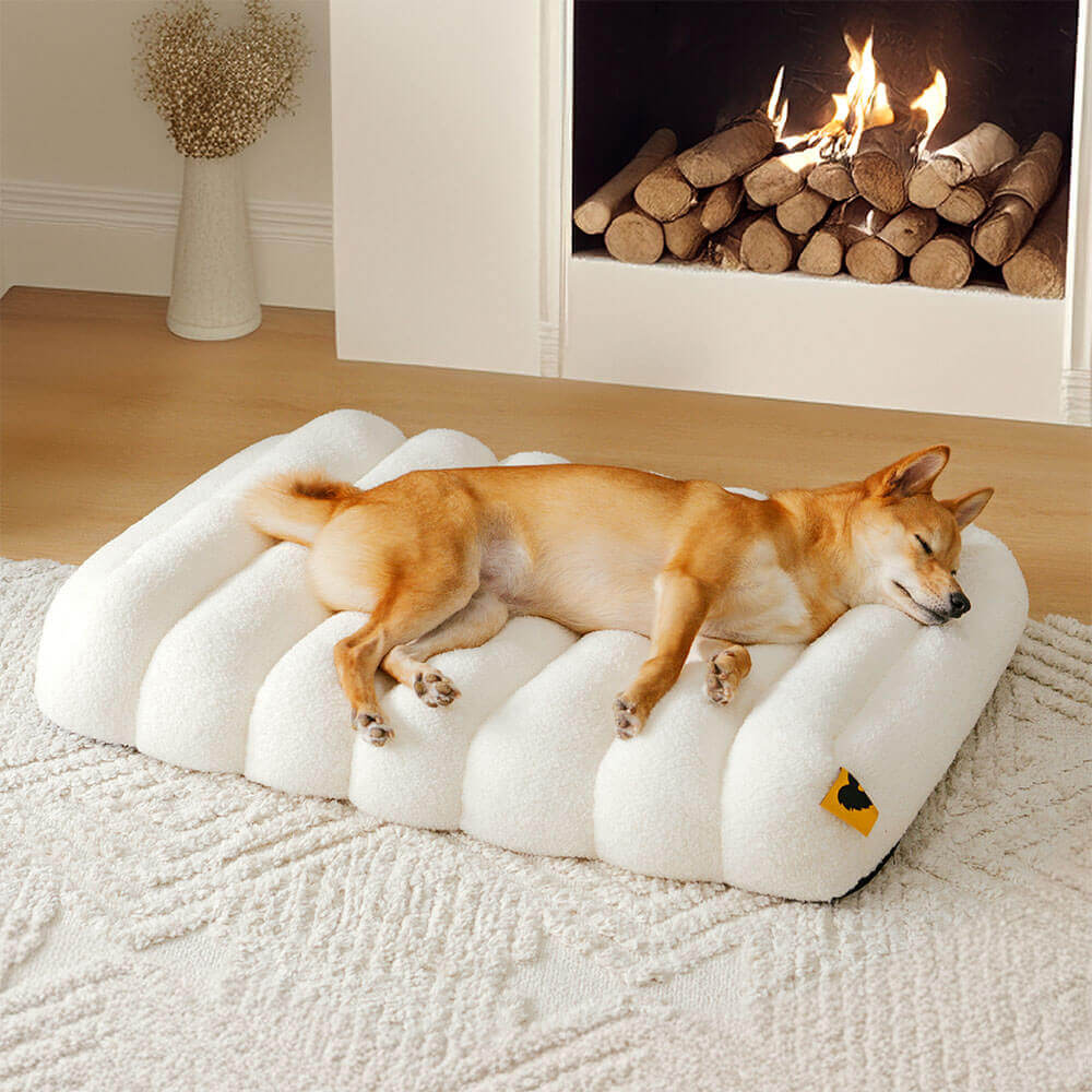 Grand Coussin Plat Lavable Crème Confortable pour Chien - Cheesecake - Image 3