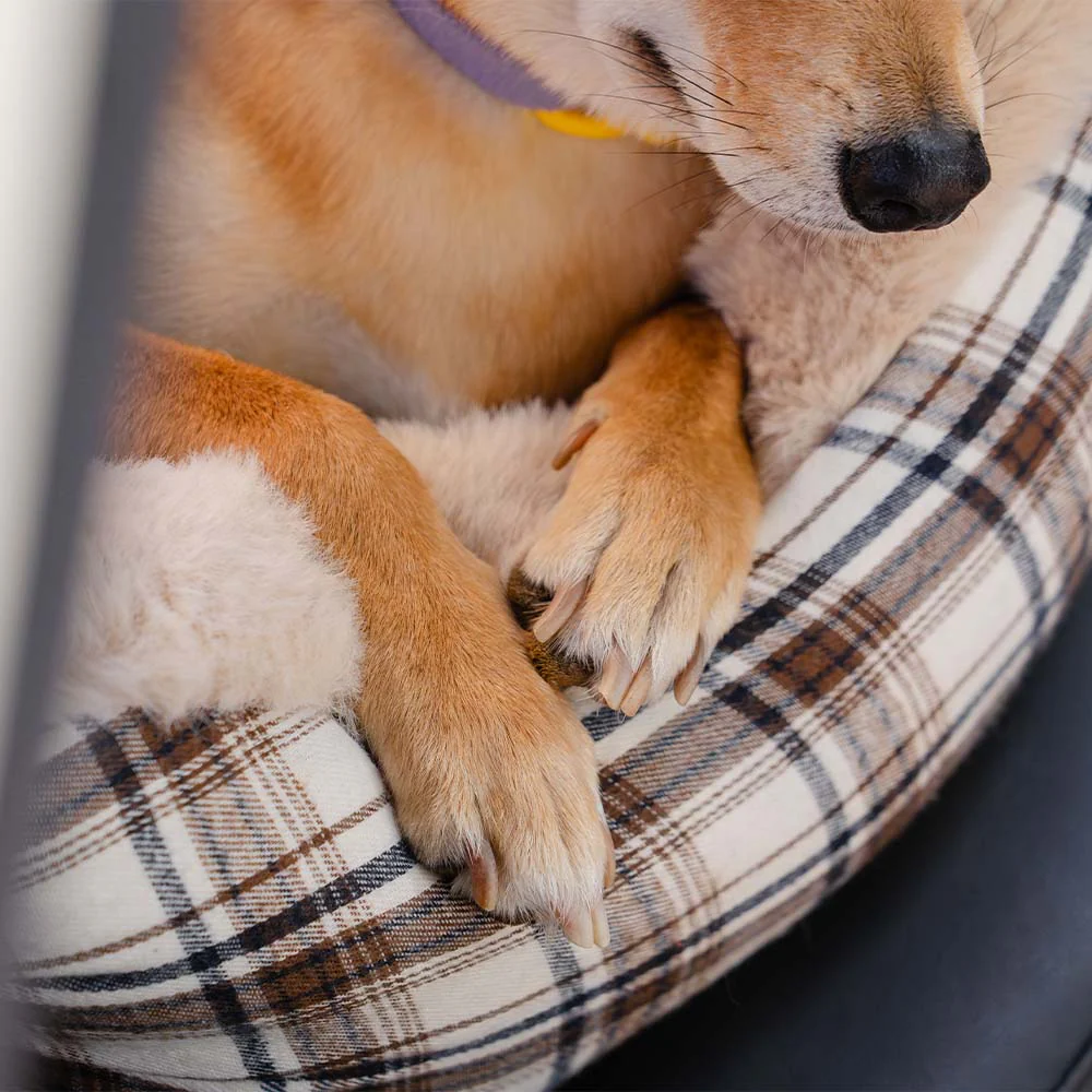 Grand siège auto classique en peluche pour chien - Protection Assurée - Image 8