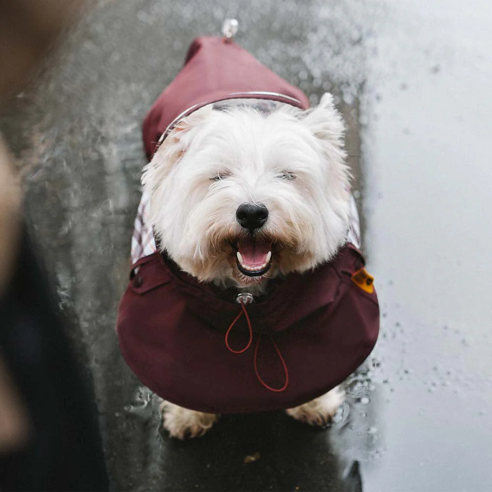 Imperméable ajustable pour chien à carreaux vintage protection contre les intempéries - Image 10