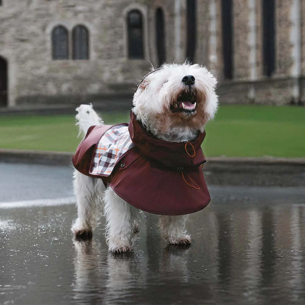 Imperméable ajustable pour chien à carreaux vintage protection contre les intempéries - Image 11