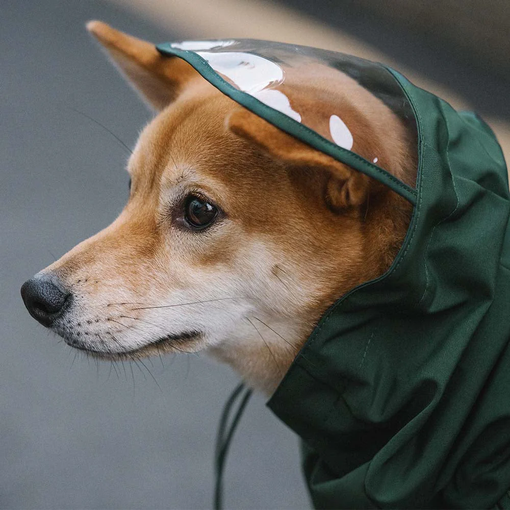 Imperméable ajustable pour chien à carreaux vintage protection contre les intempéries - Image 9
