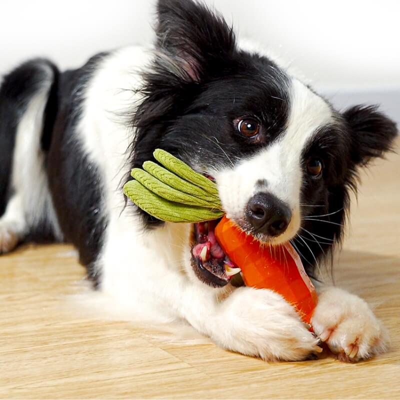 Jouet carotte durable et grinçant pour chien - Image 3