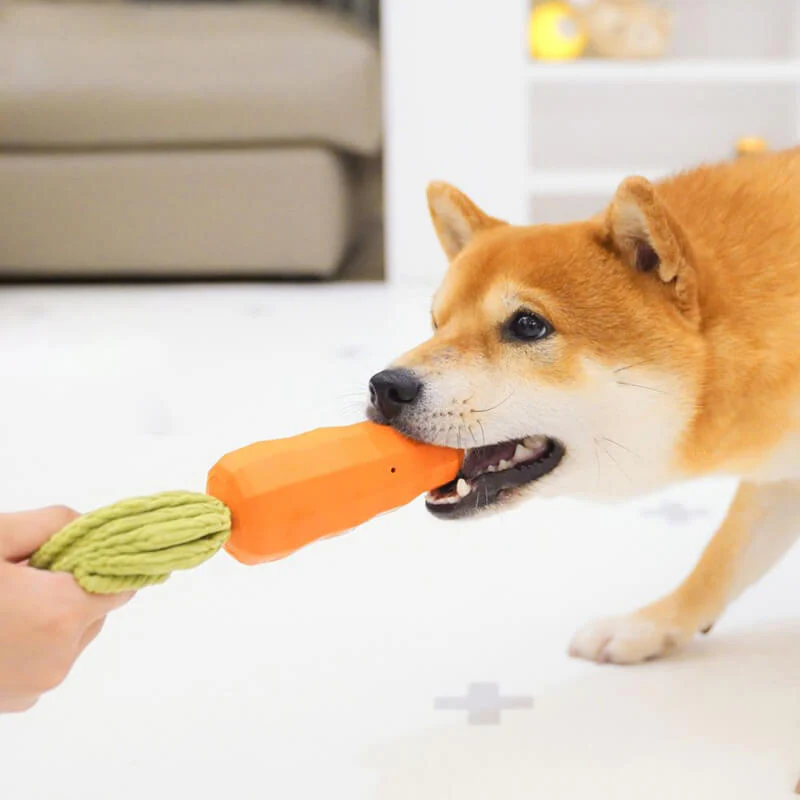Jouet carotte durable et grinçant pour chien - Image 4