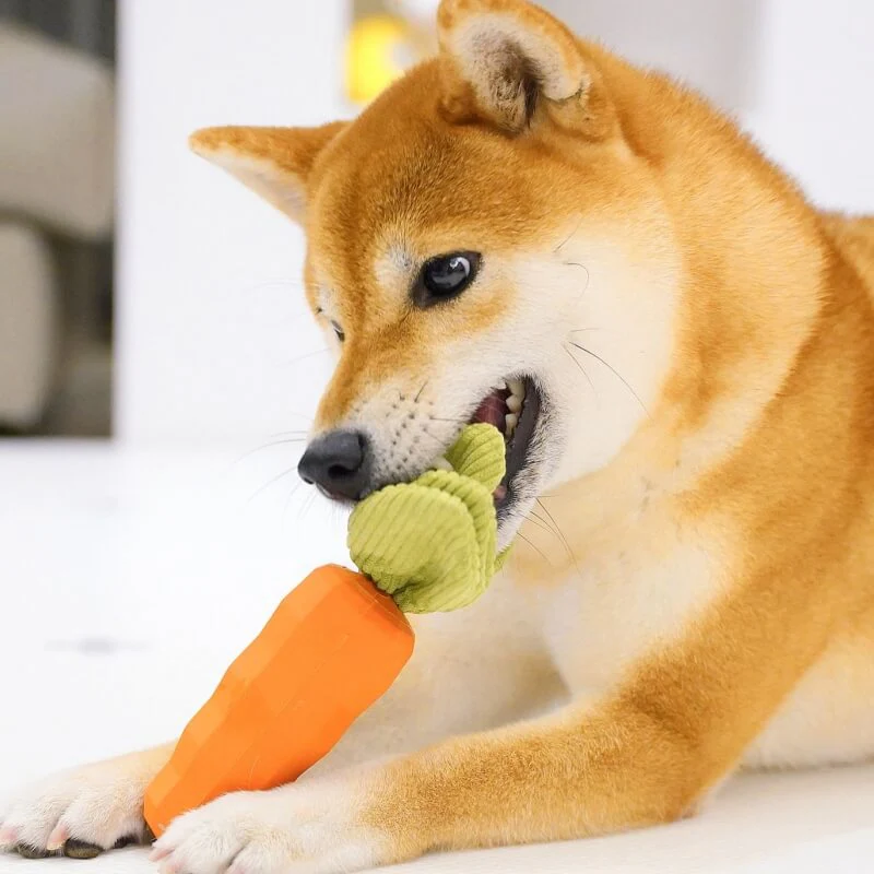 Jouet carotte durable et grinçant pour chien - Image 7
