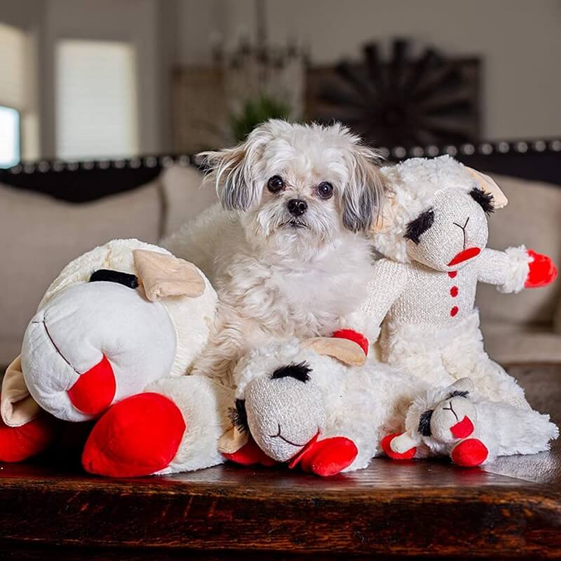 Jouet interactif pour chien - agneau peluche avec sifflet - Image 3