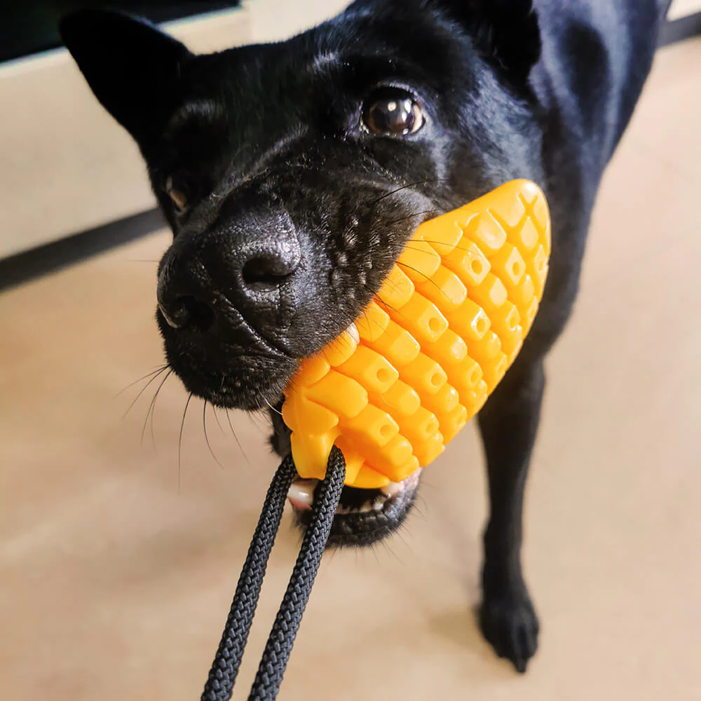 Jouet pour Chien à Ventouse - Mangue - Image 2
