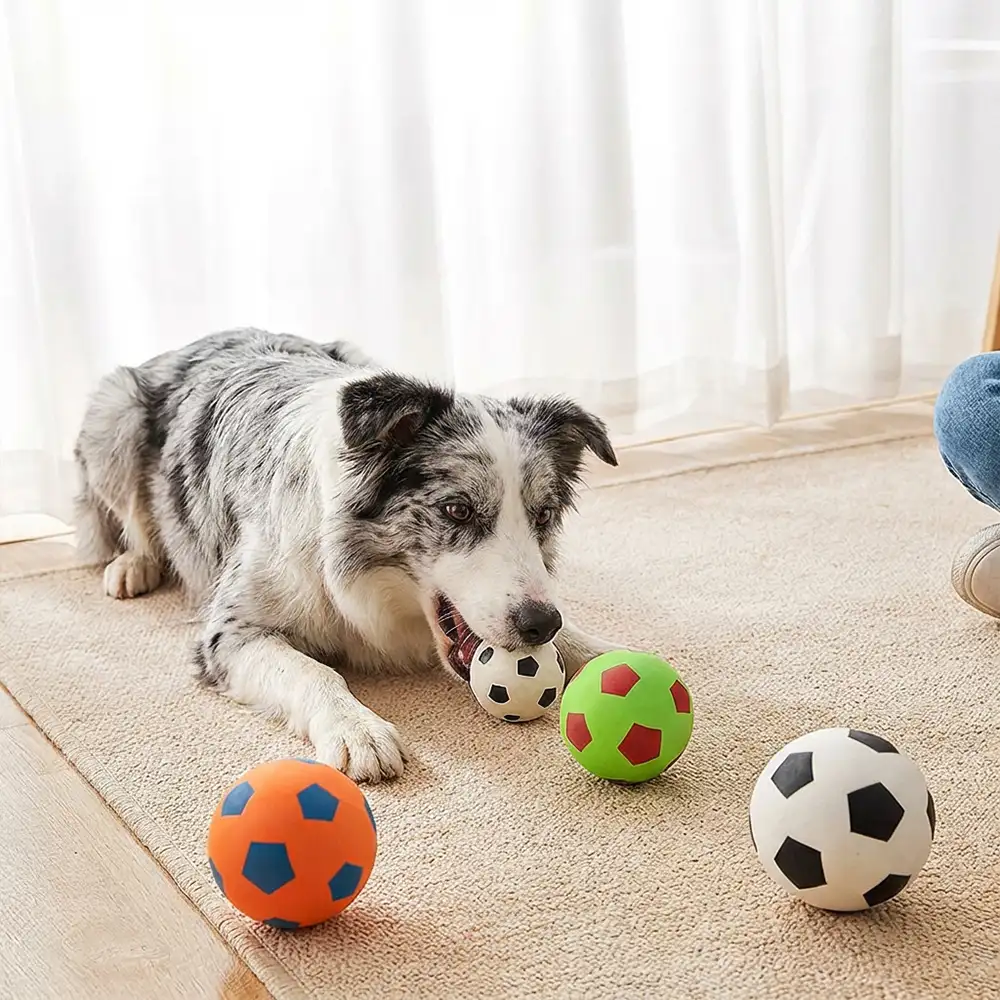 Jouet pour chien en forme de ballon flottant drôle avec une grande élasticité.