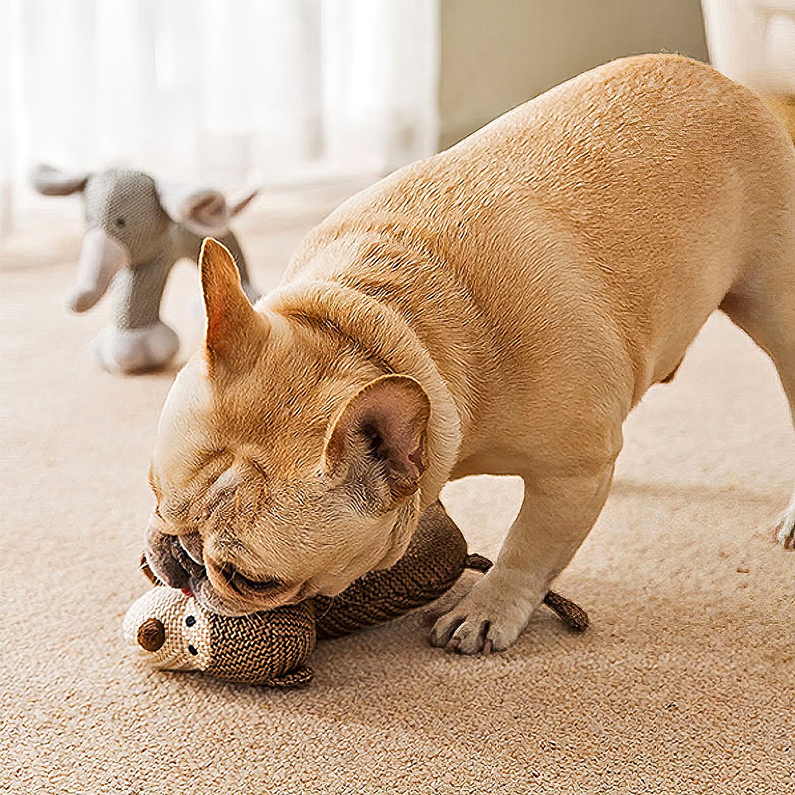 Jouets à mâcher animaux grinçants pour chien - Image 4