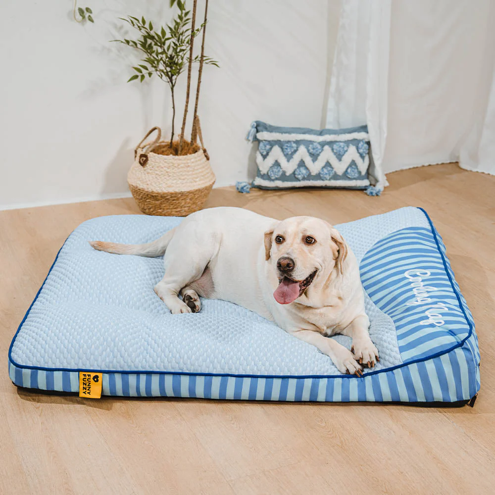 Lit orthopédique pour chien rectangulaire extra large lavable - Sieste rafraîchissante - Image 14