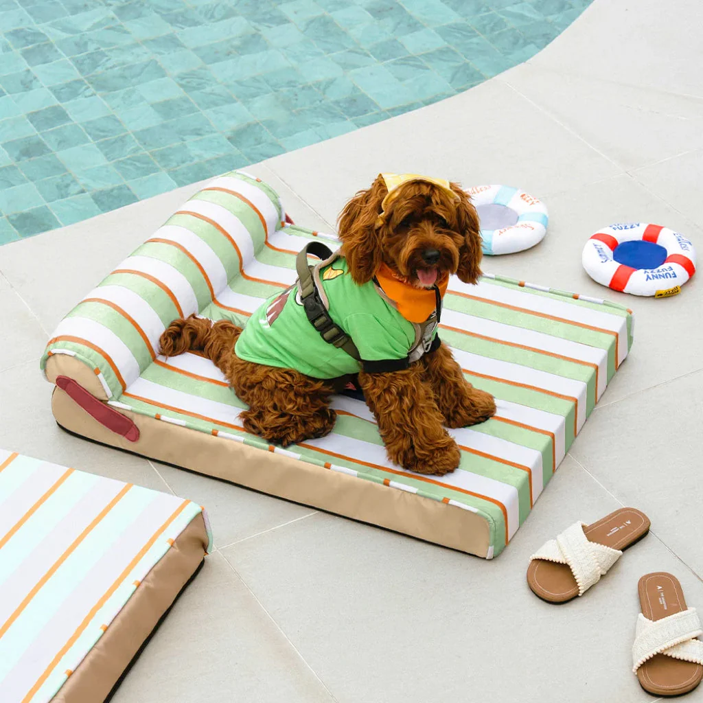 Lit orthopédique tapis rafraichissant chien - Chill Nest - Image 9