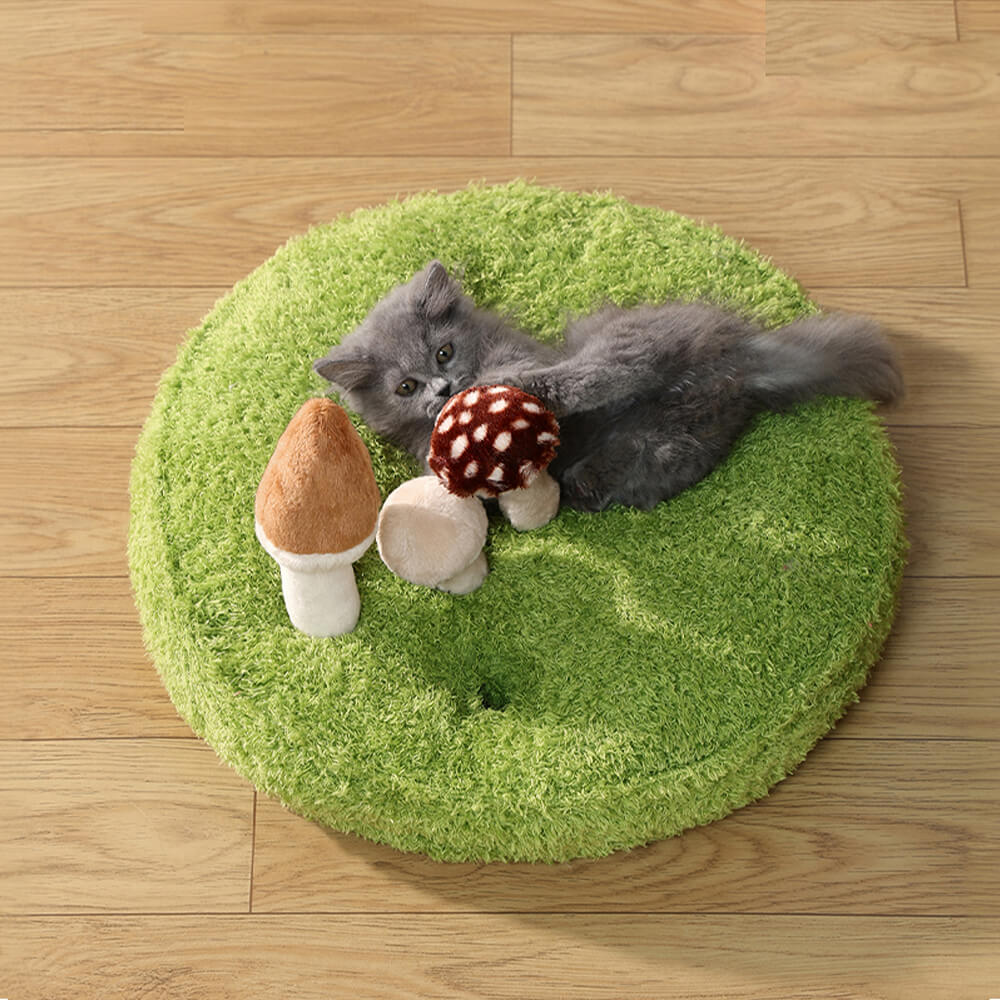 Lit pour animal de compagnie en peluche 2 en 1 Jungle Explorer - Parc naturel - Image 4