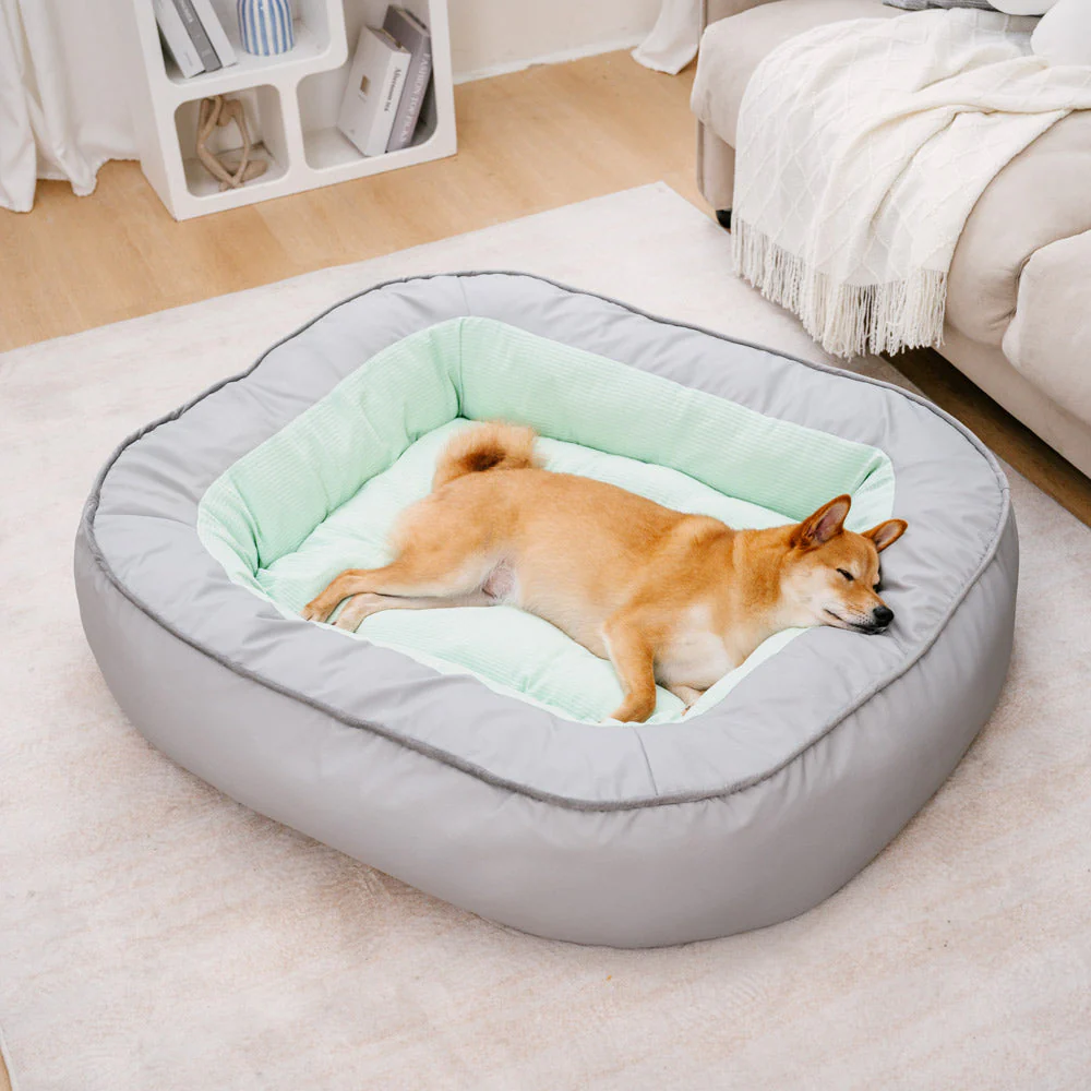 Lit pour chien en cuir PU imperméable antidérapant résistant aux rayures avec soutien complet