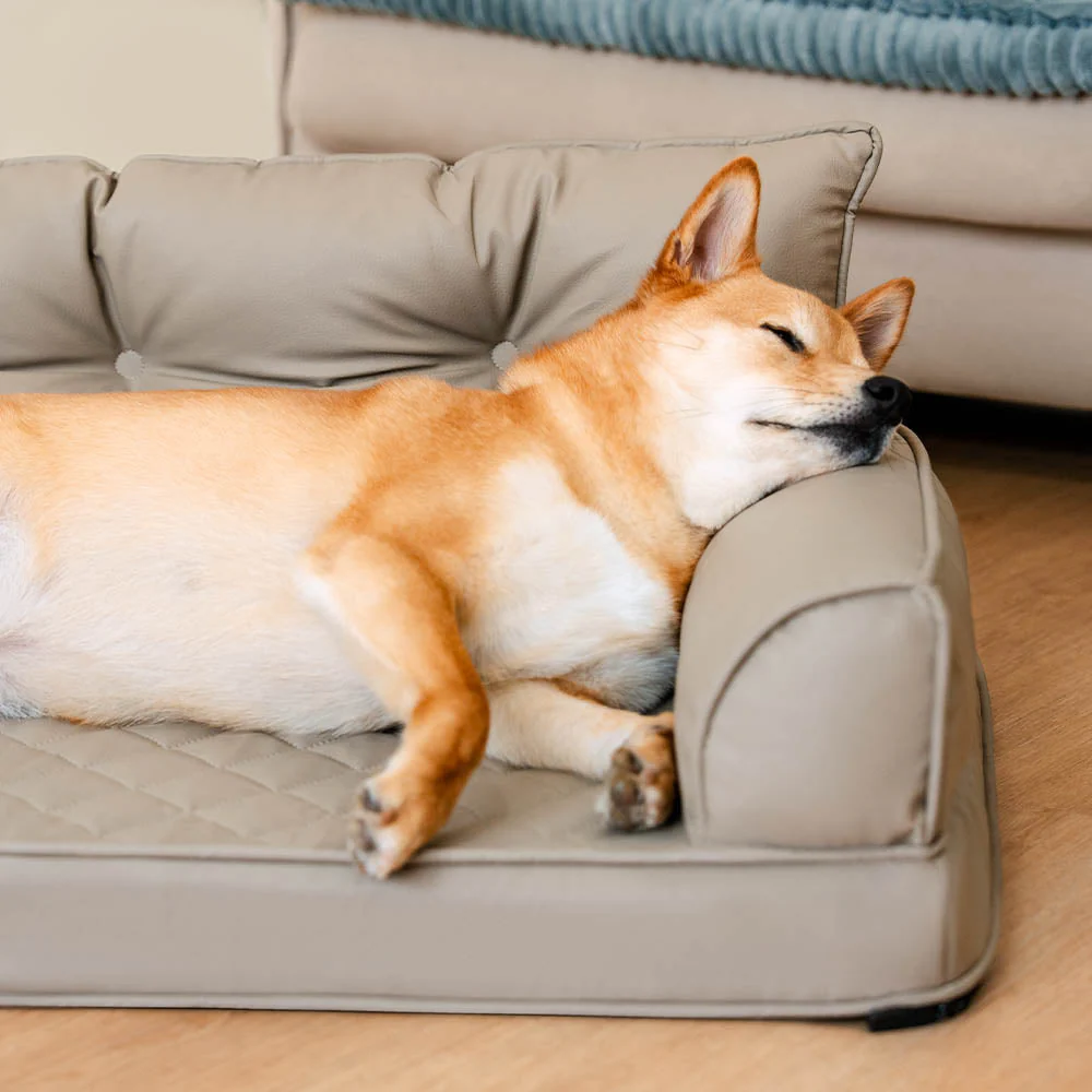 Luxe lit pour chien grand en simili cuir pliable orthopédique - CoreLounge - Image 2