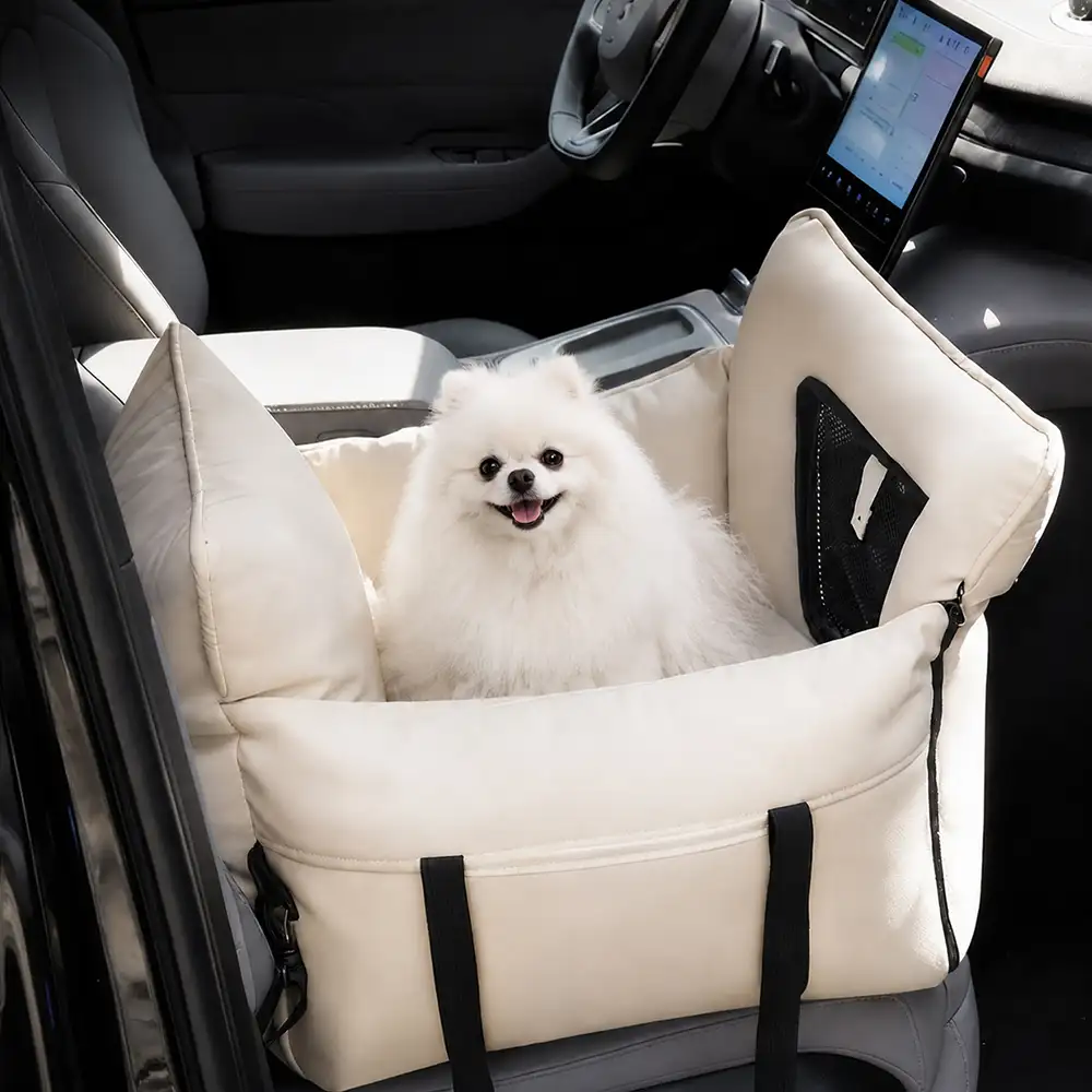 Essentiels auto – Nouveautés