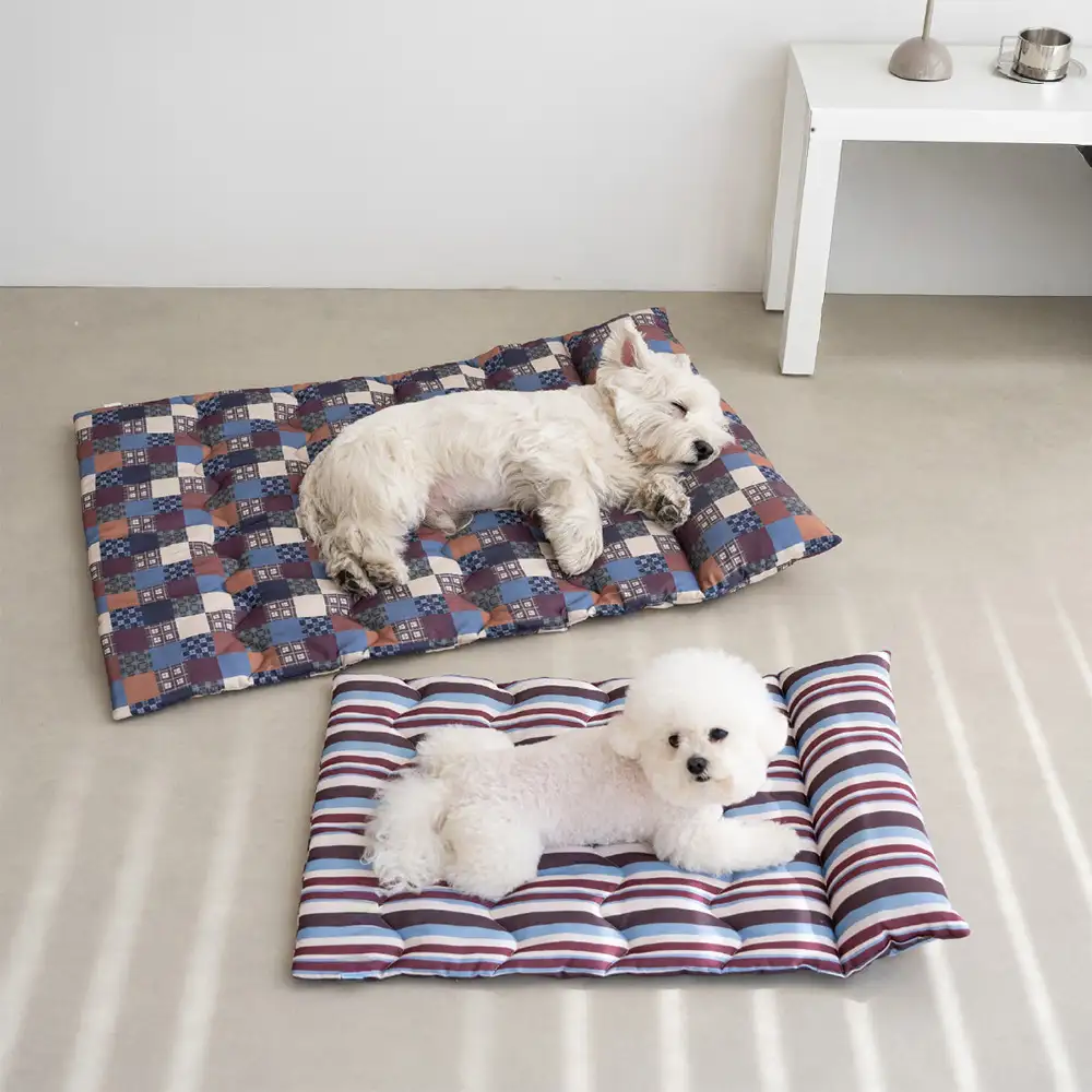 Oreiller de chien à double face respirant tout-temps avec support pour le cou