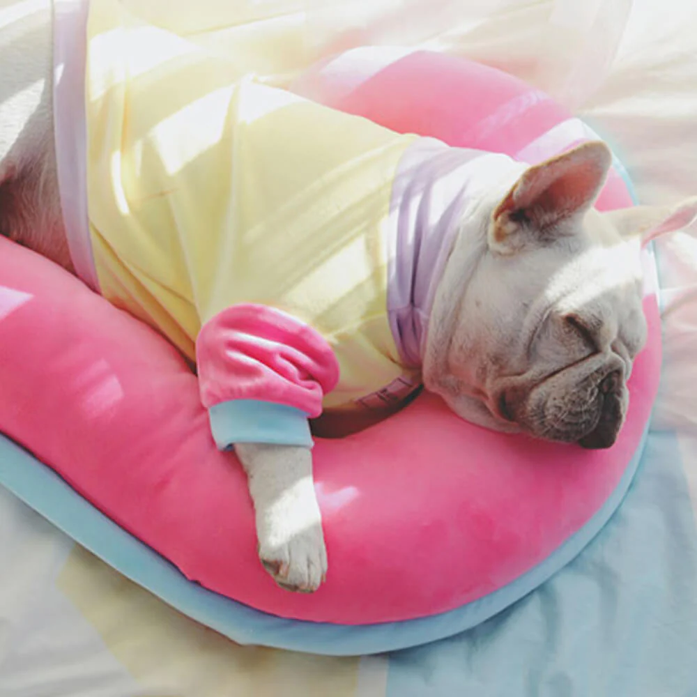 Oreiller Orthopédique Soutien Colonne Vertébrale pour Chien - Image 2