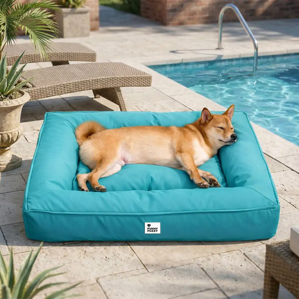 Lit orthopédique pour grand chien imperméable et soutien - Image 14