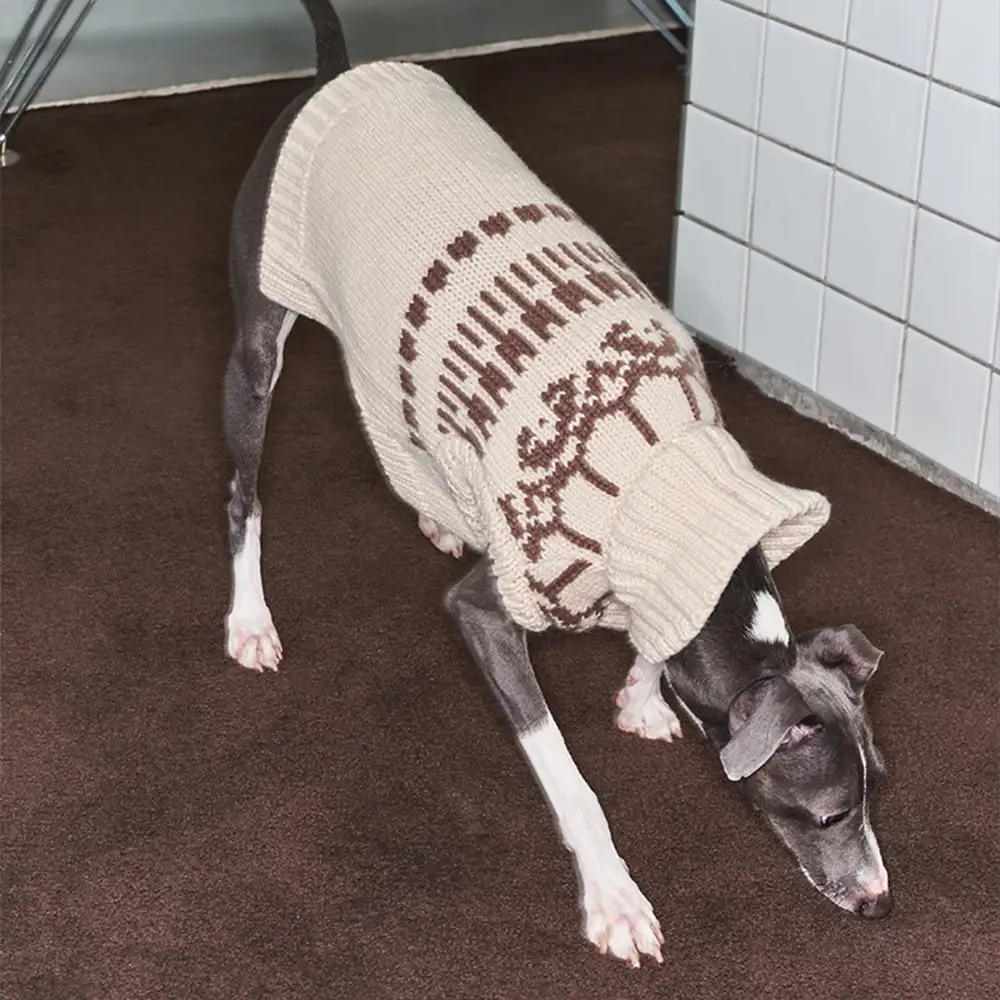 Pull pour chien sans manches en motif Fair Isle pour teckel - Image 8