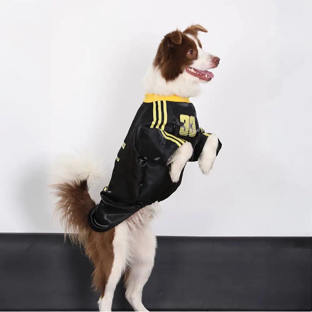 T-shirt pour chien rétro réfléchissant rayé pour toutes les races - Image 6