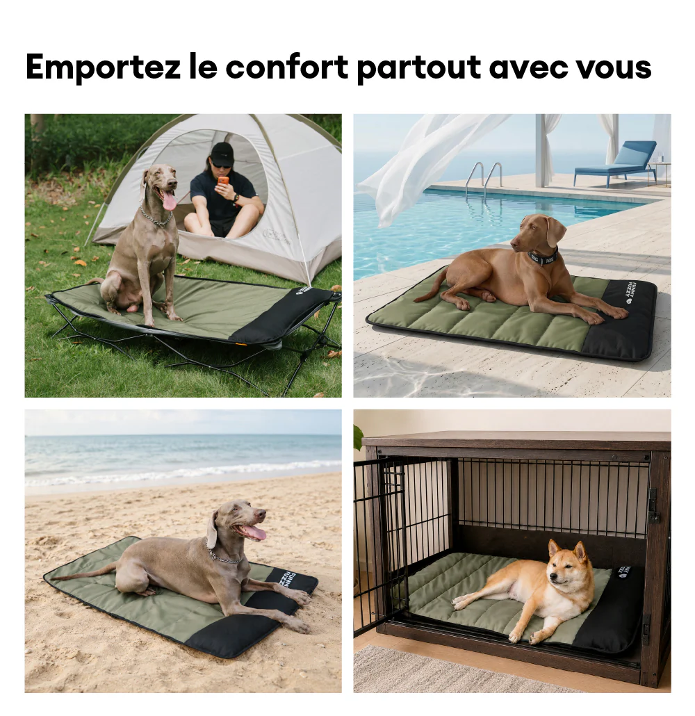 Tapis de chien étanche portable - Urban Roaming - Image 6
