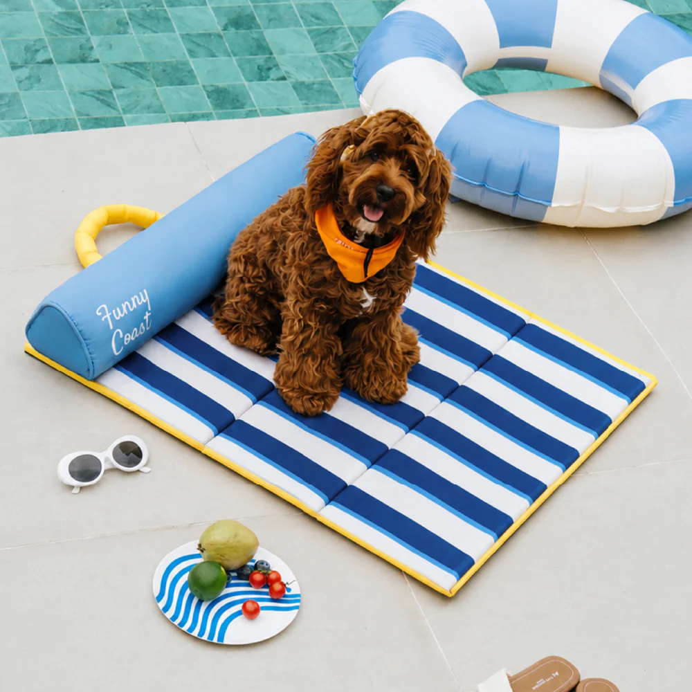 Tapis rafraichissant chien portable pour chat et petit chien - Chill Nest
