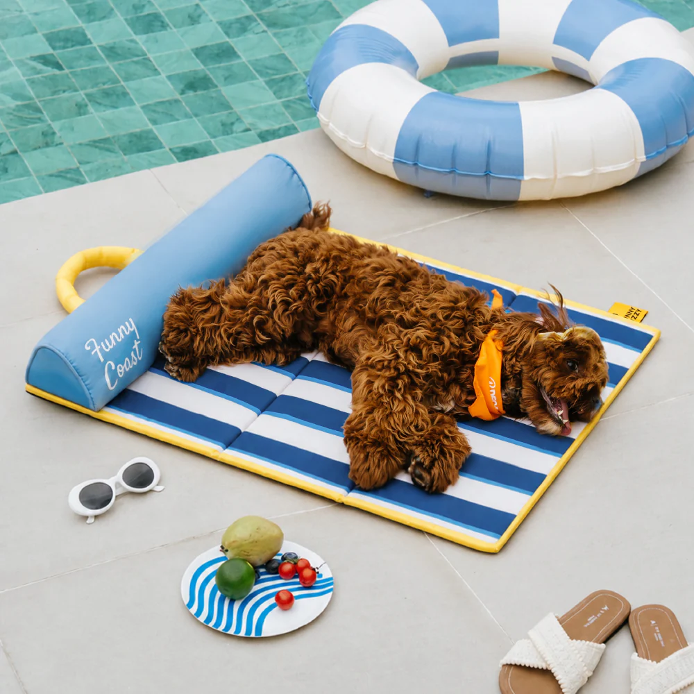Tapis rafraichissant chien portable pour chat et petit chien - Chill Nest - Image 7