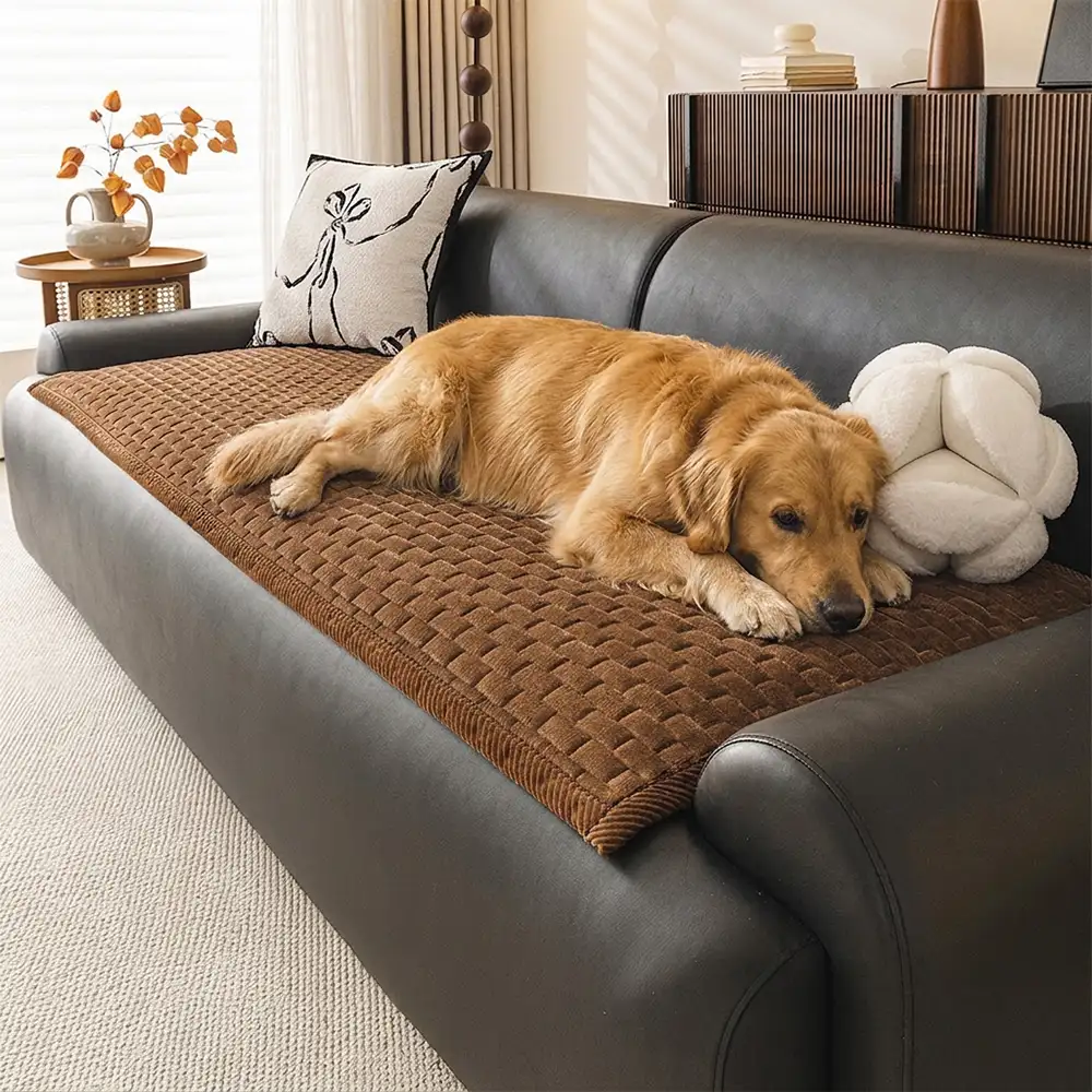 Tapis pour animaux en peluche douce, résistant aux griffures, housse de canapé antidérapante - Image 8