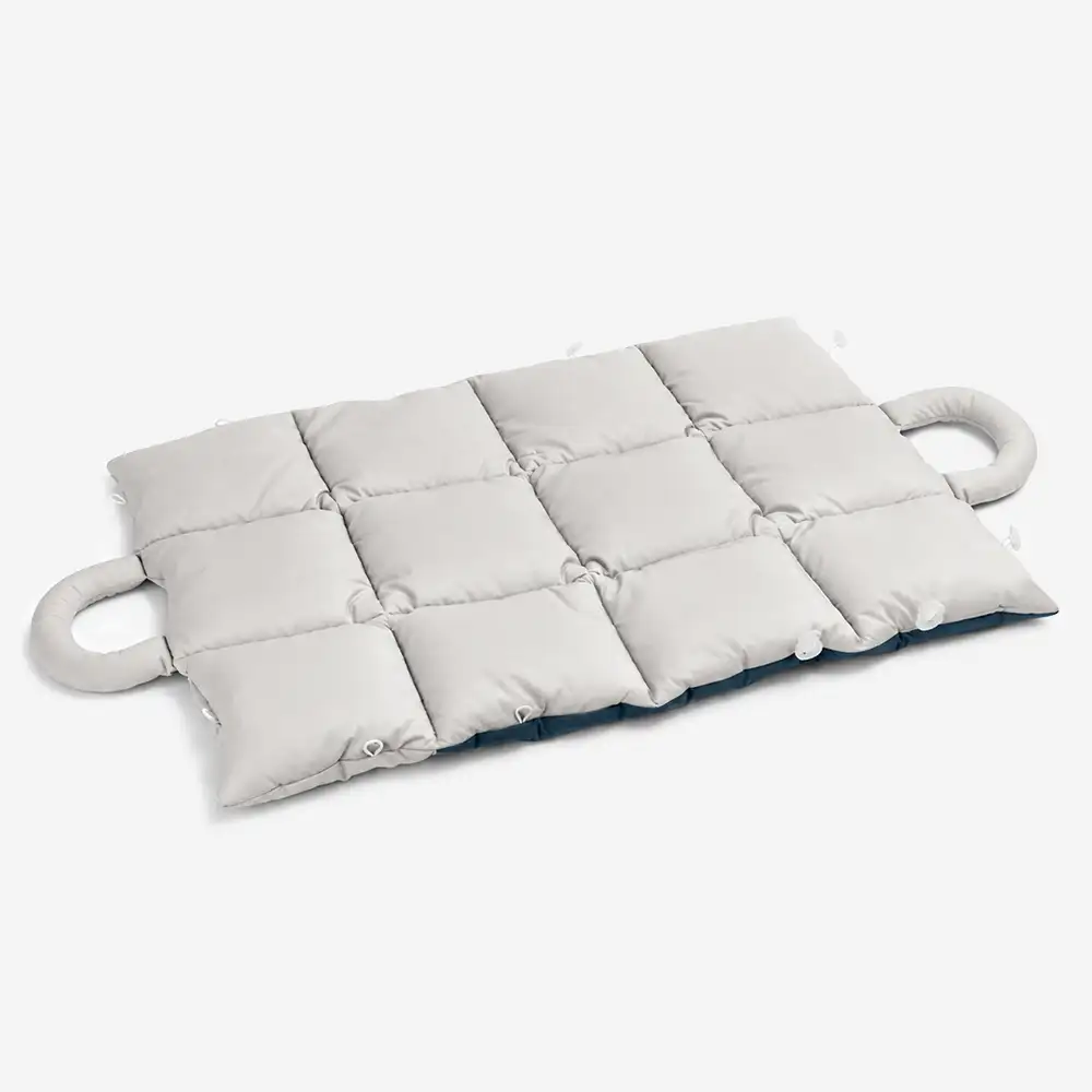 Tapis pour animaux multifonctionnel 2 en 1 résistant à l'eau, sac de transport pour chiots - Image 10