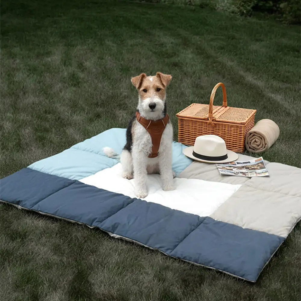 Tapis pour animaux multifonctionnel 2 en 1 résistant à l'eau, sac de transport pour chiots - Image 11