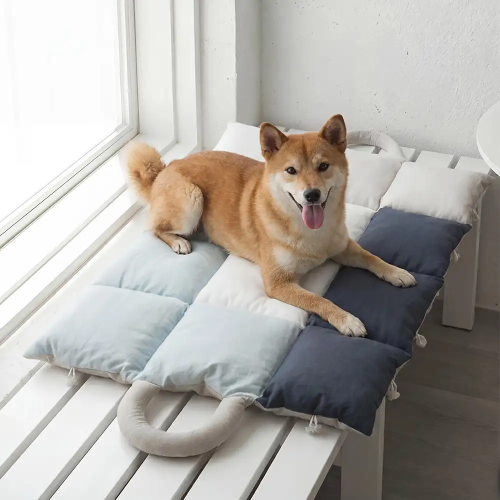 Tapis pour animaux multifonctionnel 2 en 1 résistant à l'eau, sac de transport pour chiots - Image 7
