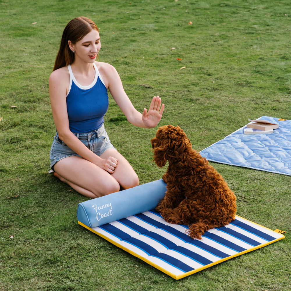Tapis rafraichissant chien portable pour chat et petit chien - Chill Nest - Image 2