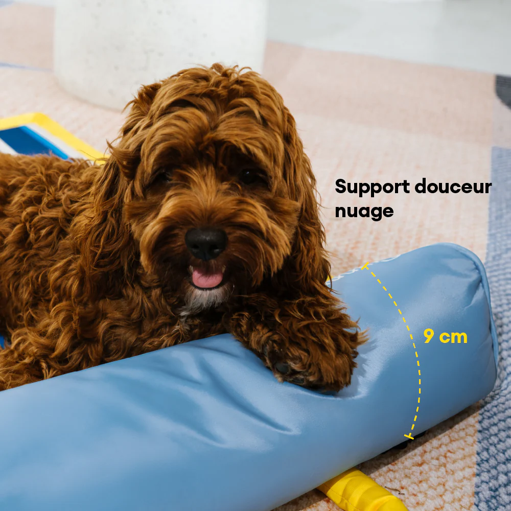 Tapis rafraichissant chien portable pour chat et petit chien - Chill Nest - Image 5