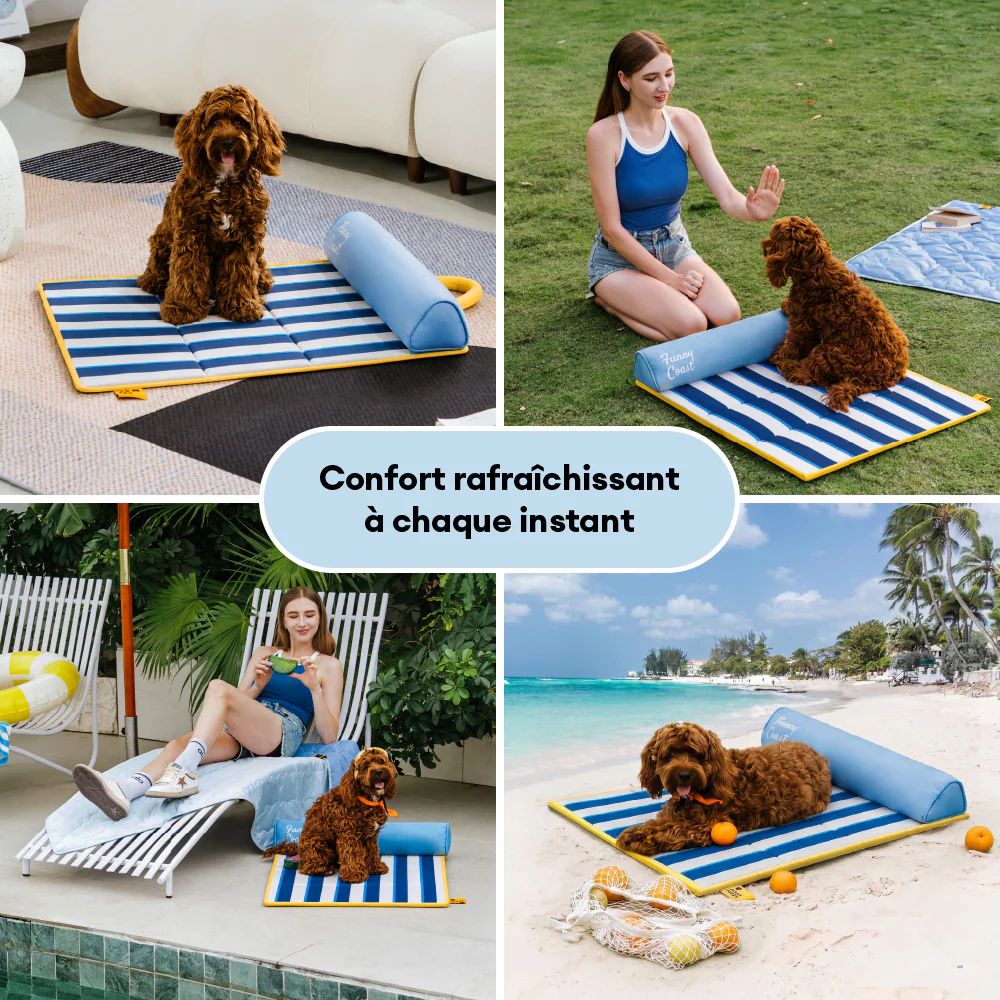 Tapis rafraichissant chien portable pour chat et petit chien - Chill Nest - Image 6