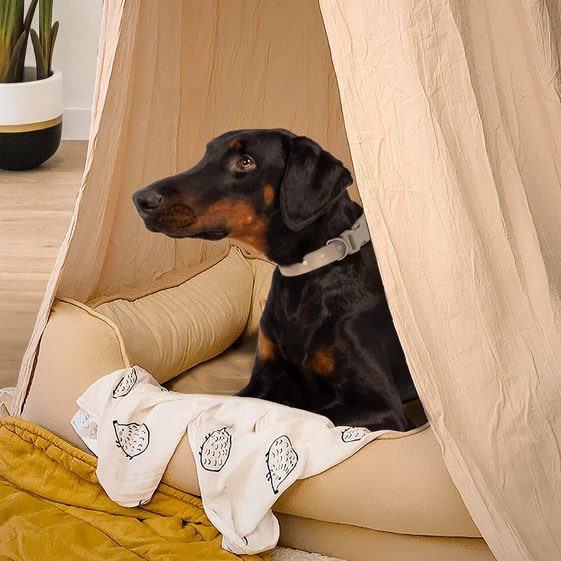 Tipi pour chien élégant et confortable pour tente pour chien - Image 3