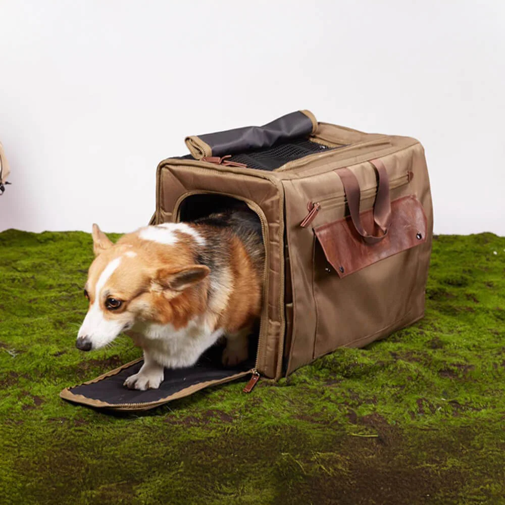 Transport Sac à Dos pour Animaux de Compagnie Grand Espace Maille Respirante Imperméable Voyage - Image 4